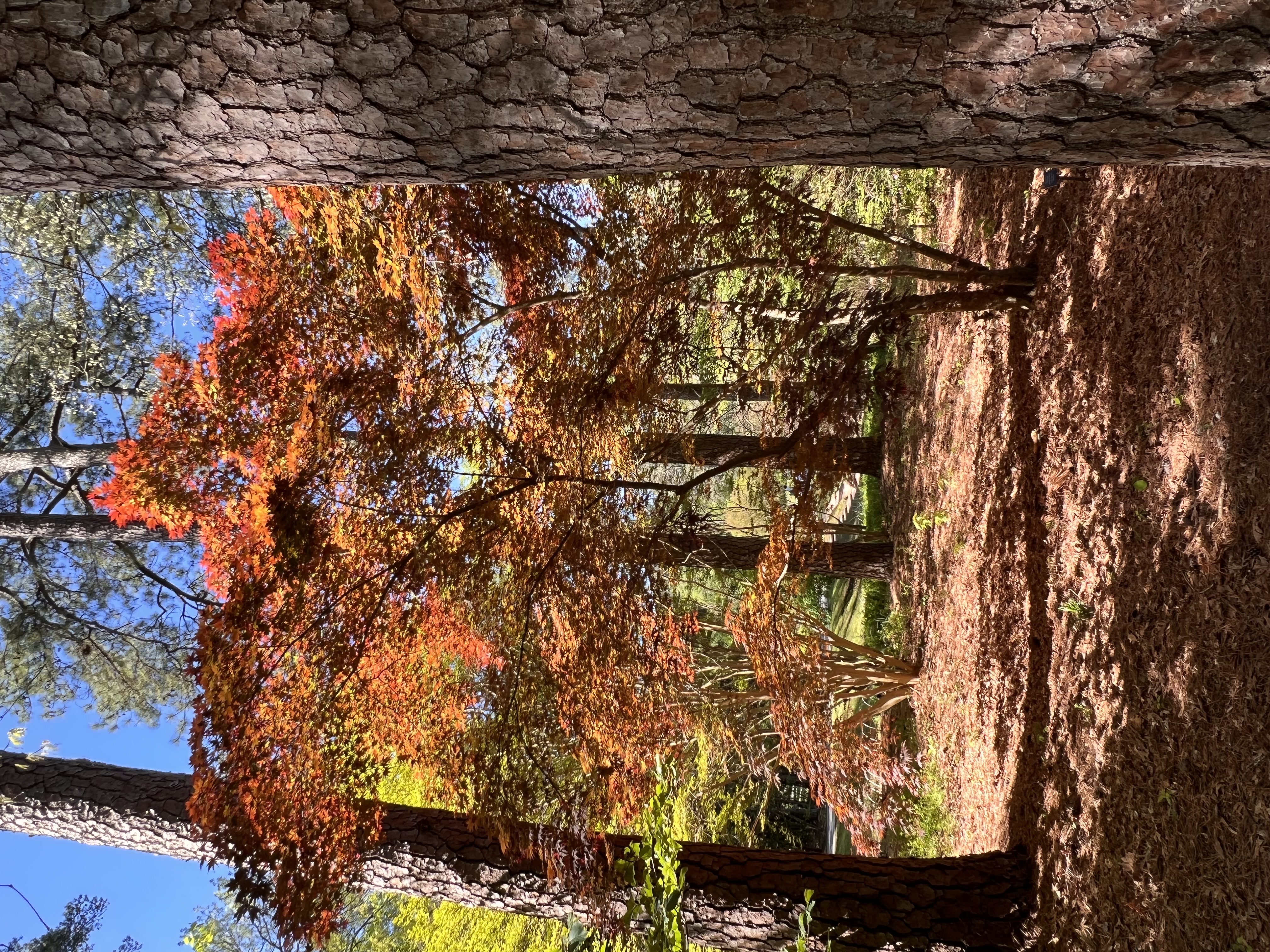 ./2023/05 - Toni Adventures/IMG_3120.JPG